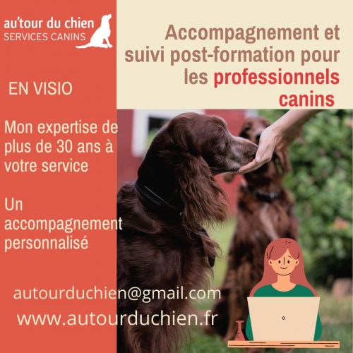 Accompagnement et suivi post-formation pour les professionnels canins 