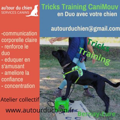 Atelier collectif Canimouv Tricks Training en Duo avec votre chien : eduquer en s'amusant - samedi 