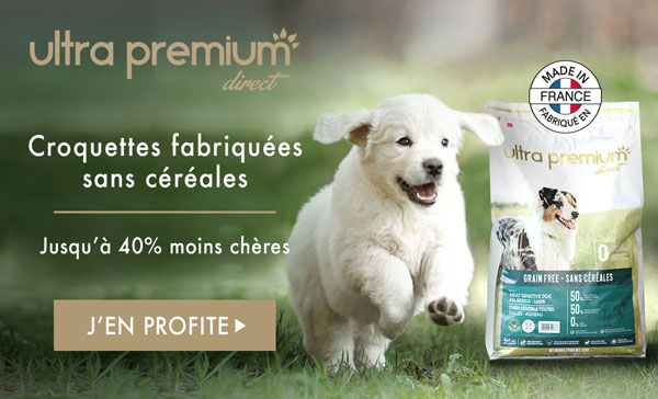 Au'tour du Chien, partenaire des croquettes Ultra Premium Direct Au'tour du Chien, partenaire des croquettes Ultra Premium Direct