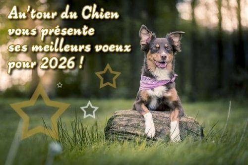Voeux 2026 et une revelation essentielle