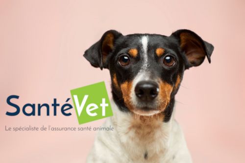 Santé Vet la mutuelle numero 1 pour chiens et chats et nac