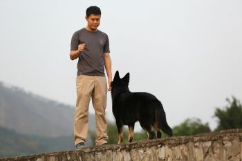 La participation des propriétaires est indispensable dans l’éducation de leur chien La participation des propriétaires est indispensable dans l’éducation de leur chien