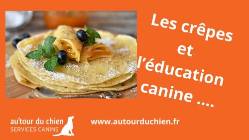 Les crepes et l’education canine