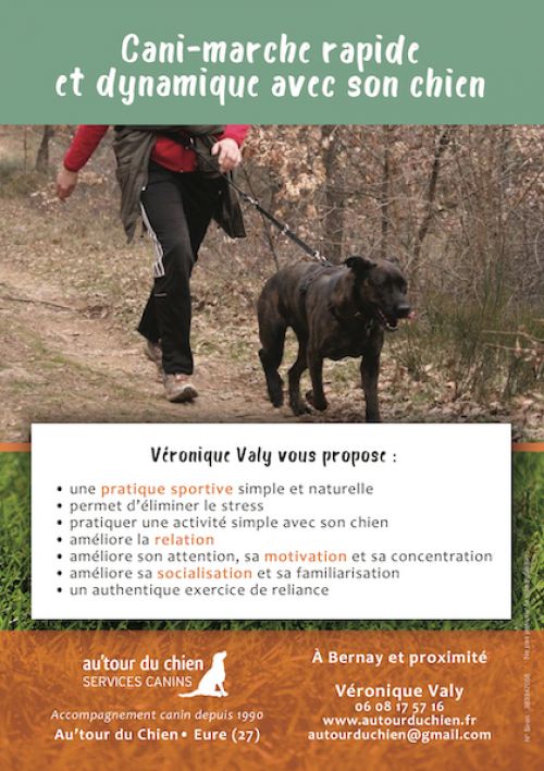 CANIMARCHE DYNAMIQUE