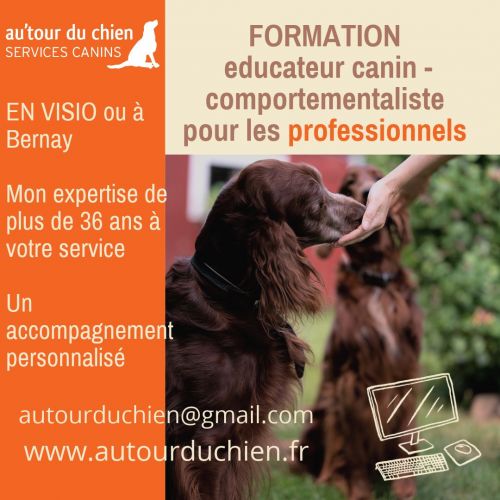 FORMATION PRO PASSERELLE EDUCATEUR CANIN - COMPORTEMENTALISTE