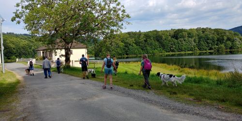 Le super pouvoir de mes Loisirs Canins pour votre chien et vous. 