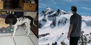 Raser un chien à cette époque, c'est comme passer l'hiver en T-shirt ! Raser un chien à cette époque, c'est comme passer l'hiver en T-shirt !