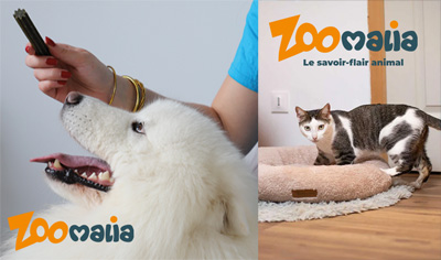 Zoomalia, accessoires et matériel pour chiens et autres animaux Zoomalia, accessoires et matériel pour chiens et autres animaux