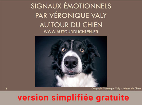 Ebook les signaux émotionnels du chien version gratuite simplifiée