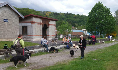 Cours collectifs canins dans l'Eure en Normandie
