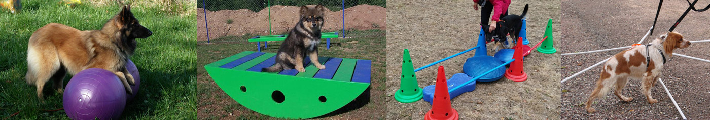 Tricks Training Cani-Mouv pour chiens en Normandie