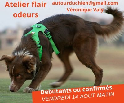 Atelier exceptionnel Flair ODEURS - 𝐩𝐢𝐬𝐭𝐚𝐠𝐞 𝐬𝐮𝐫 𝐨𝐝𝐞𝐮𝐫𝐬 𝐬𝐩é𝐜𝐢𝐟𝐢𝐪𝐮𝐞𝐬 𝐞𝐭 𝐝𝐨𝐮𝐛𝐥𝐞 𝐨𝐝𝐞𝐮𝐫 :