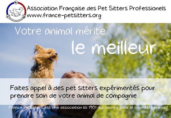 Association française des pet sitters professionnels : votre animal mérite le meilleur