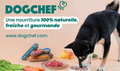 Dog Chef, nourriture pour chien 100% naturelle, fraîche et gourmande Dog Chef, nourriture pour chien 100% naturelle, fraîche et gourmande