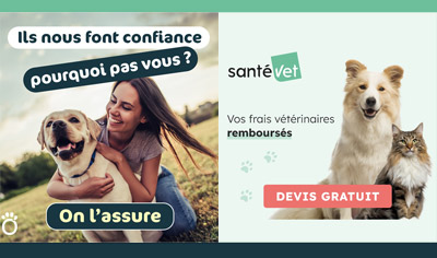 Au'tour du Chien, partenaire des assurances Santé Vet et Assur O Poil Au'tour du Chien, partenaire des assurances Santé Vet et Assur O Poil