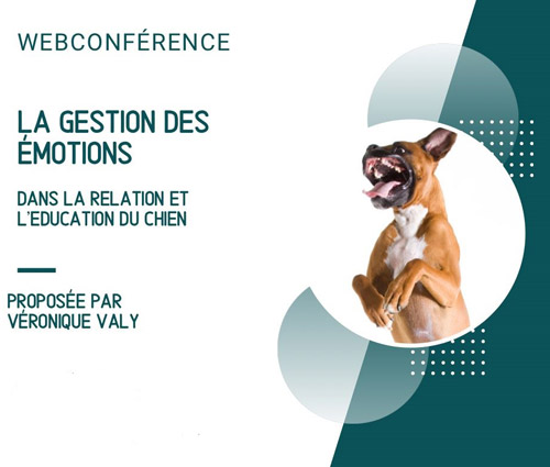Webinaire en replay : la gestion des émotions Webinaire en replay : la gestion des émotions